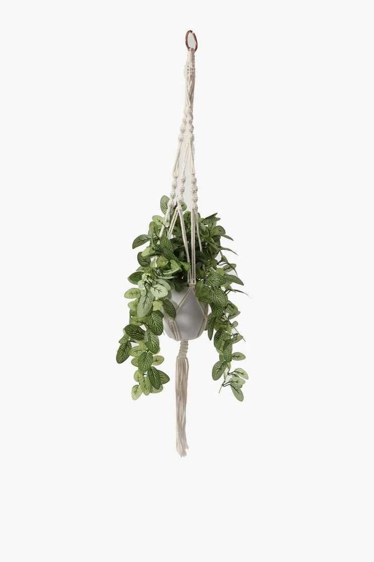 Hanging Macrame Plant - Nosize