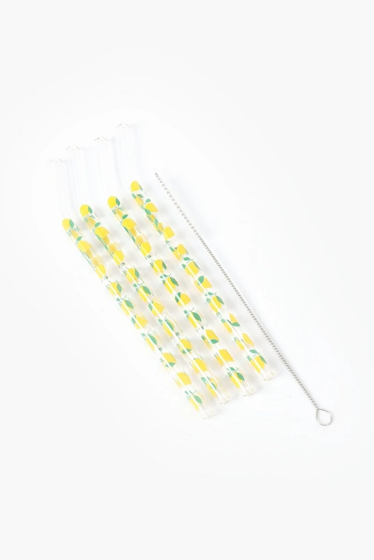 4 Pack Printed Glass Straws